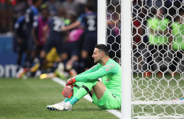 他们可能会 他们可能会