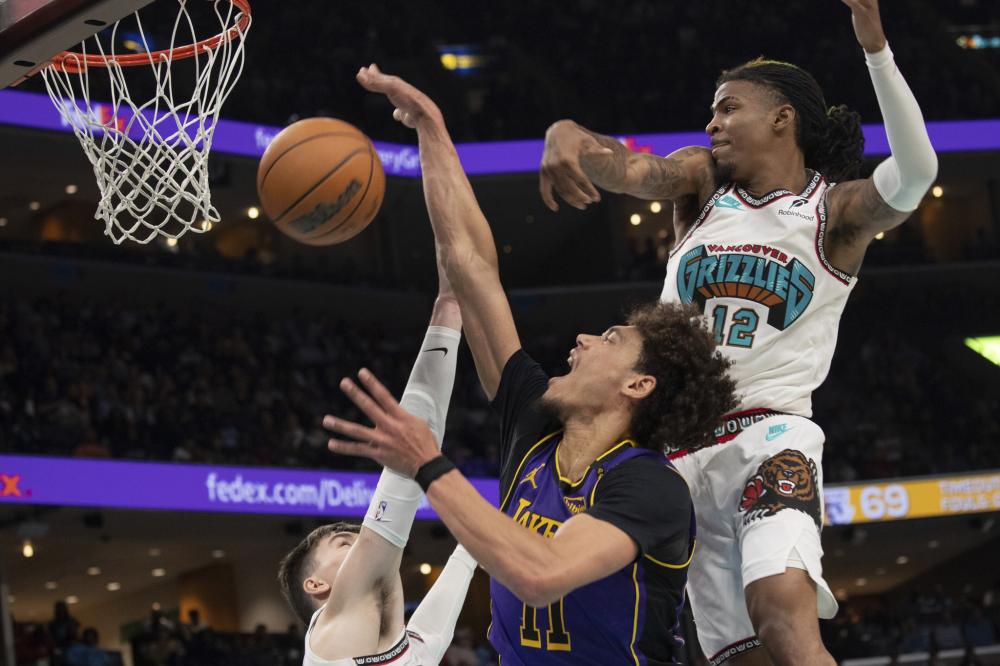 了情感基础 了情感基础